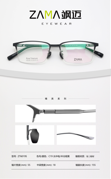ZT6019S