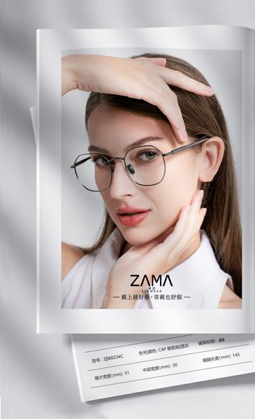 Zβ80234C