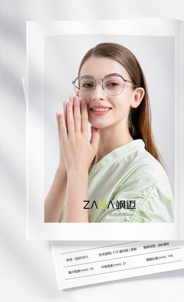 Zβ80301L