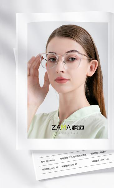 Zβ80311S